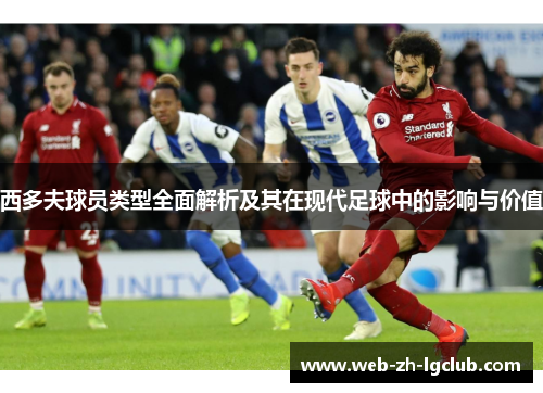 西多夫球员类型全面解析及其在现代足球中的影响与价值 西多夫球员类型全面解析及其在现代足球中的影响与价值